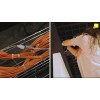 Lanmaster LAN-PCEXT/U5E-1.0-GY Удлинитель патч-корда UTP кат.5E, розетка RJ45 - вилка RJ-45, 1.0 м, серый