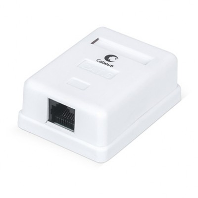 Cabeus WS-8P8C-Cat.6-1 Розетка компьютерная RJ-45(8P8C), категория 6, одинарная, внешняя, Dual IDC