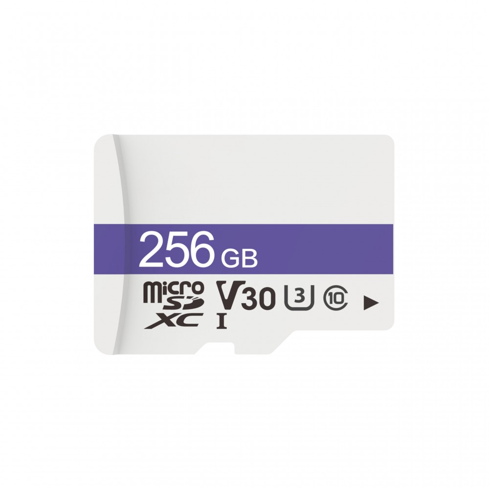 Dahua DHI-TF-C100/256GB карта памяти MicroSD 256 Гб Dahua DHI-TF-C100/256GB карта памяти MicroSD 256 Гб