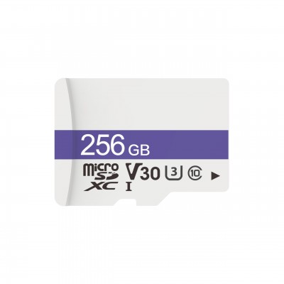 Dahua DHI-TF-C100/256GB карта памяти MicroSD 256 Гб