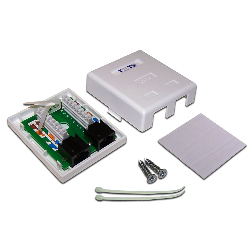 Розетка настенная, 2 порта RJ-45, категория 6, белая, TWT-SM2-4545/6-WH