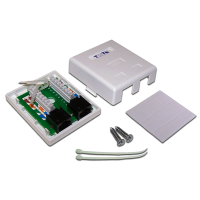Розетка настенная, 2 порта RJ-45, категория 6, белая, TWT-SM2-4545/6-WH