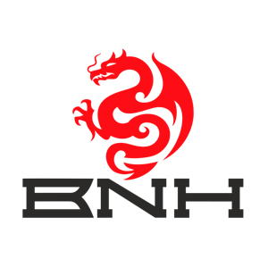 Beijing Network House (BNH)
